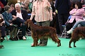 Crufts2011 367